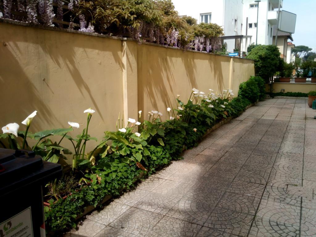 Hotel Margot Lido di Camaiore Zewnętrze zdjęcie